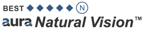 Vision logo