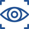 vison icon